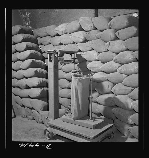 Production. Tungsten. Bags of tungsten concentrate (value: $100 each) at a concentrating plant near Kingman, Arizona. The Boriana mine and plant at this point are producing large amounts of tungsten, for which there are many vital uses in the war effort. Boriana Mine, Arizona