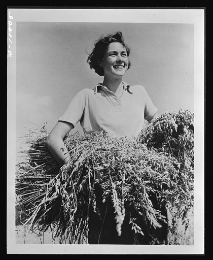 Food in England. Smiling with health, this former London dressmaker who joined the Women's Land Army in Britain claims she won't go back to dressmaking. More than 100,000 women this year will be enlisted in the Women's Land Army