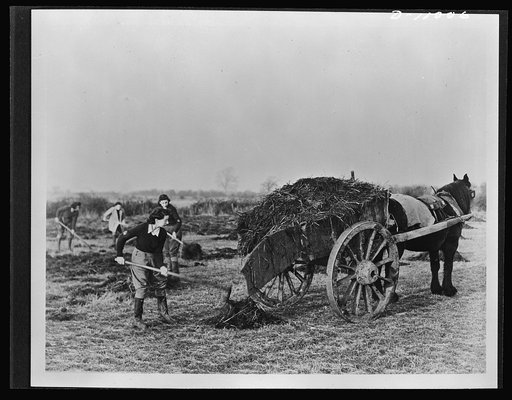 Food in England. Women in Britain's Land Army help to maintain the fertility of British soil in preparation for crops. These volunteers come from every walk of life