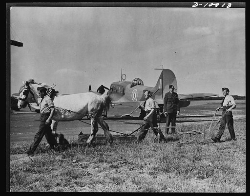Food in England. Members of the Royal Air Force, stationed in Southern England, use horsepower to plow the land of the farm they operate which produces most of the food requirements of their station