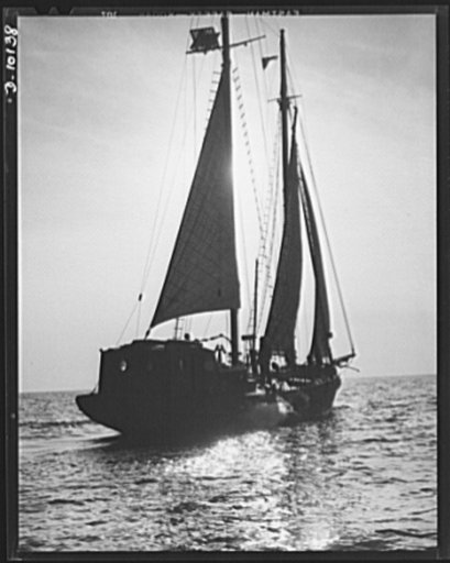 Coast Guard Auxiliary. Guardians of inland waters. A schooner of the Coast Guard, patrolling waters off Boston. Small craft made available to the government by members of the Coast Guard Auxiliary are being used to supplement the work of the regular fleets