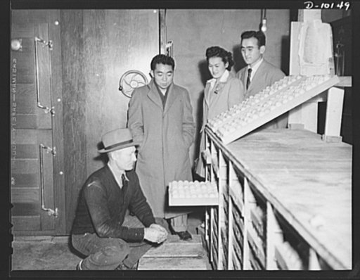 Japanese relocation. Sam Rice, former major league baseball player, shows three Japanese-Americans who will work at his poultry farm near Olney, Maryland, the incubator house. The new arrivals came from the Colorado River Relocation Center. Shown left to right: Mr. Rice, Giichi Omari, Mrs. William K