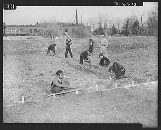 Washington public schools go to war. The public schools of Washington, D.C., like those in most other sections of the country, have revised their curricula to fit the pupils for fuller participation in the war effort. They have gone all-out for the Program of Civilian Defense. Many of the schools ha