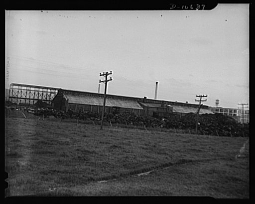 Symanski Brothers. Troy, New York