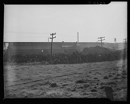 Symanski Brothers. Troy, New York