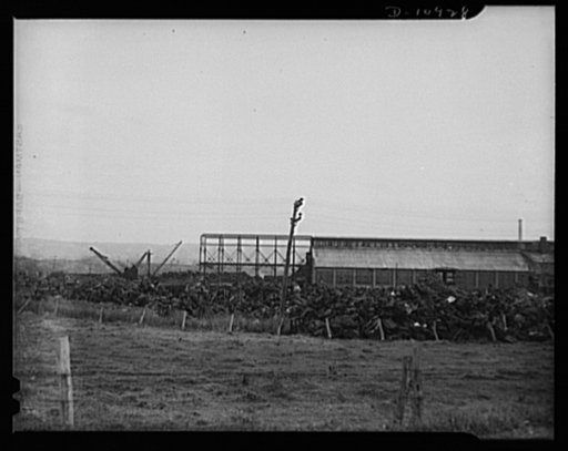 Symanski Brothers. Troy, New York