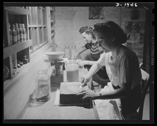 Lawning dry color to be used in decorating medical department chinaware. Shenango Pottery Works, Newcastle, Pennsylvania