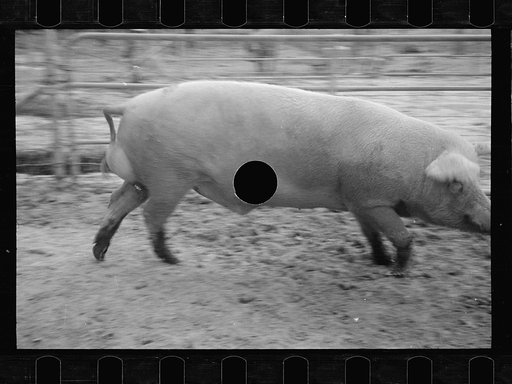 Untitled photo, possibly related to: Mud bath, Prince George's County, Maryland
