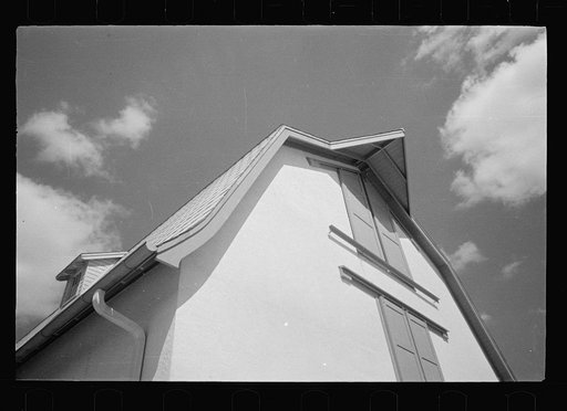 Untitled photo, possibly related to: Saanen goat, Prince George's County, Maryland