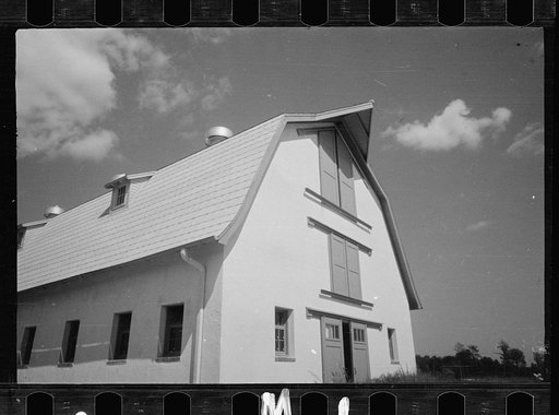 Untitled photo, possibly related to: Saanen goat, Prince George's County, Maryland