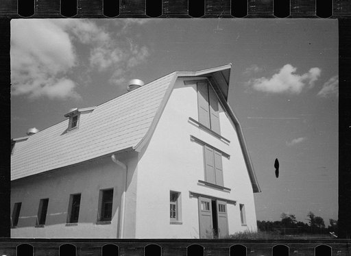 Untitled photo, possibly related to: Saanen goat, Prince George's County, Maryland