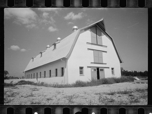 Untitled photo, possibly related to: Saanen goat, Prince George's County, Maryland