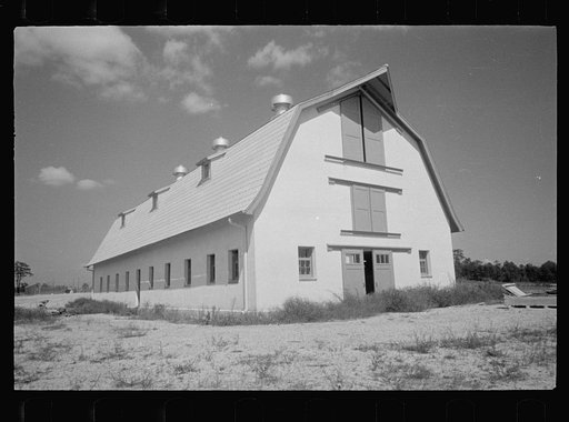 Untitled photo, possibly related to: Saanen goat, Prince George's County, Maryland