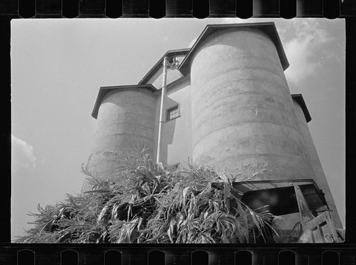 A silo feeding, Prince George's County, Maryland