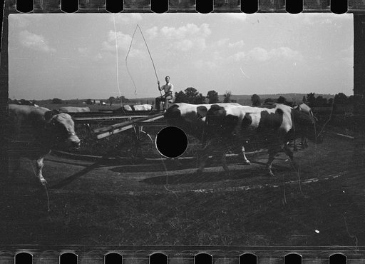 Untitled photo, possibly related to: A silo feeding, Prince George's County, Maryland