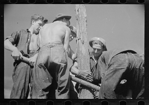 CCC (Civilian Conservation Corps) boys at work, Beltsville, Maryland