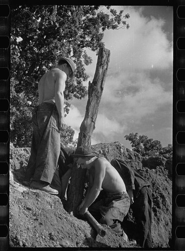 CCC (Civilian Conservation Corps) boys at work, Prince George's County, Maryland