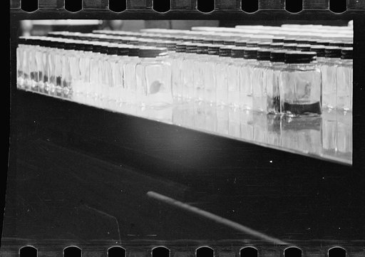 Untitled photo, possibly related to: Laboratory, Department of Agriculture Experimental Farm, Beltsville, Maryland