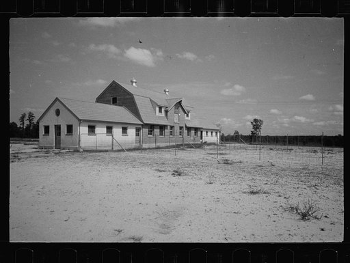 Untitled photo, possibly related to: Saanen goat, Beltsville, Maryland