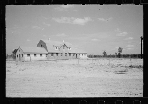 Untitled photo, possibly related to: Saanen goat, Beltsville, Maryland