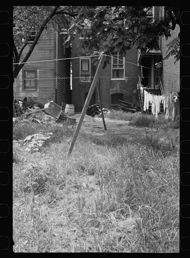 Untitled photo, possibly related to: Negro backyard near Capitol, Washington, D.C. Negro children have just discovered the cameraman and are concerned at his presence