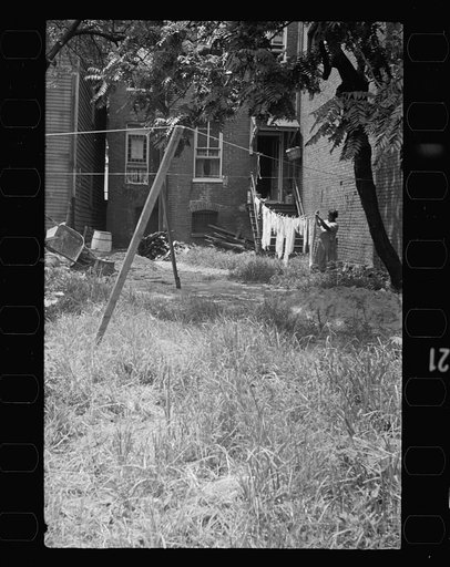 Untitled photo, possibly related to: Negro backyard near Capitol, Washington, D.C. Negro children have just discovered the cameraman and are concerned at his presence