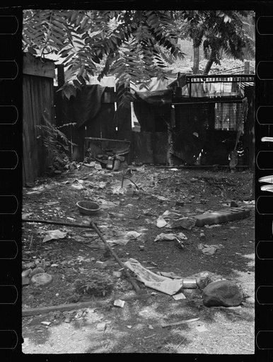 Untitled photo, possibly related to: Negro backyard near Capitol, Washington, D.C. Negro children have just discovered the cameraman and are concerned at his presence
