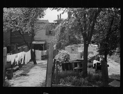 Untitled photo, possibly related to: Negro backyard near Capitol, Washington, D.C. Negro children have just discovered the cameraman and are concerned at his presence