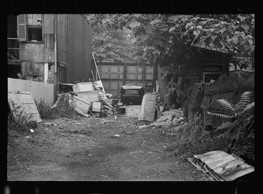 Untitled photo, possibly related to: Negro backyard near Capitol, Washington, D.C. Negro children have just discovered the cameraman and are concerned at his presence
