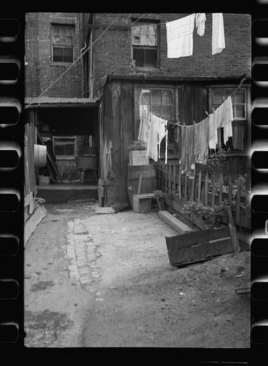 Untitled photo, possibly related to: Negro backyard near Capitol, Washington, D.C. Negro children have just discovered the cameraman and are concerned at his presence