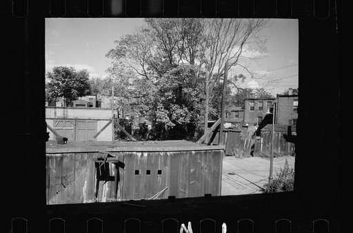 Untitled photo, possibly related to: Old wooden shacks on left of picture inhabited by whites and Negroes. Many of these houses have no inside water supply or toilet. Washington, D.C.