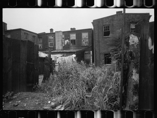 Untitled photo, possibly related to: Negro slum backyard, Washington, D.C.