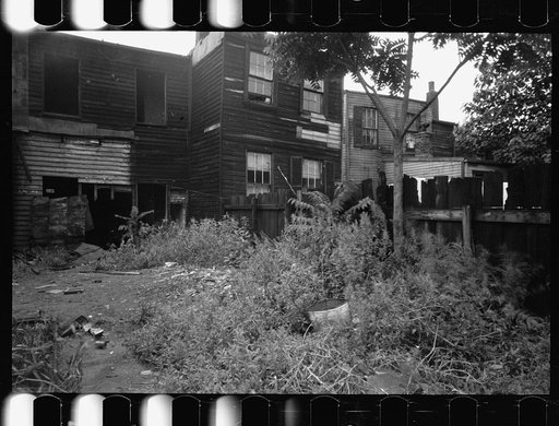 Untitled photo, possibly related to: Negro slum backyard, Washington, D.C.