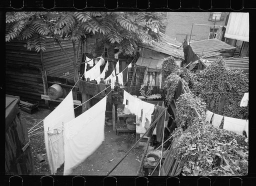 Untitled photo, possibly related to: Typical back alley in one of the many Washington slums, Washington, D.C.  This house is located close to the Capitol