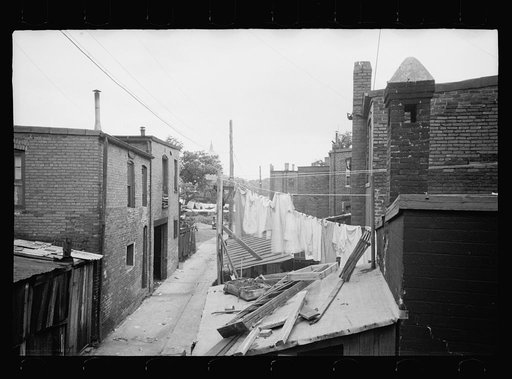Untitled photo, possibly related to: Alleyway inhabited by black and white near the Capitol, Washington, D.C.