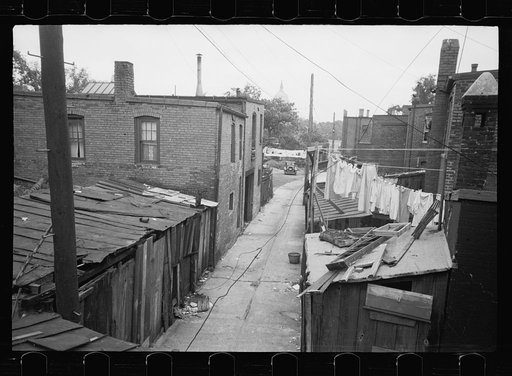 Alleyway inhabited by black and white near the Capitol, Washington, D.C.