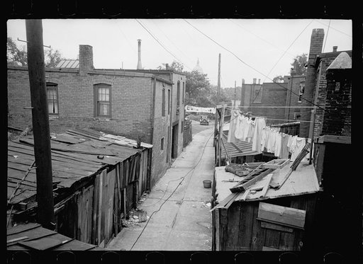 Untitled photo, possibly related to: Alleyway inhabited by black and white near the Capitol, Washington, D.C.