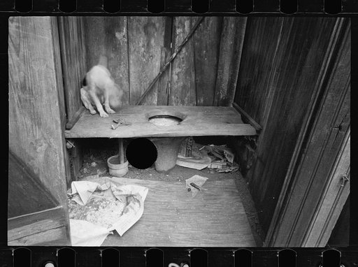 Untitled photo, possibly related to: Alleyway inhabited by black and white near the Capitol, Washington, D.C.
