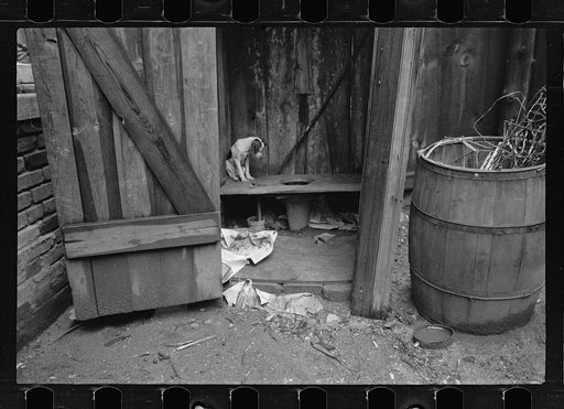 Typical slum privy. The only available water supply is usually nearby, Washington, D.C.