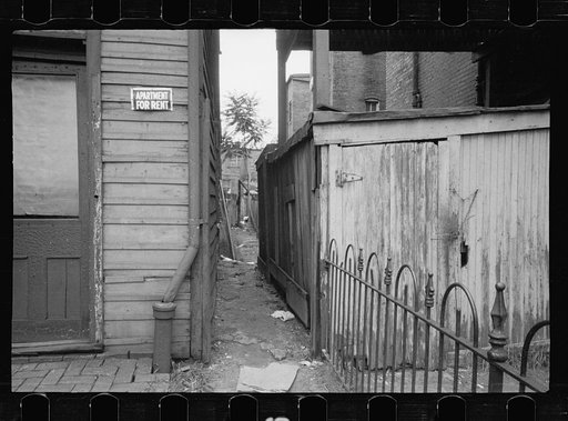 Slum alleyway, Washington, D.C. Houses in background have outside toilets and water supply