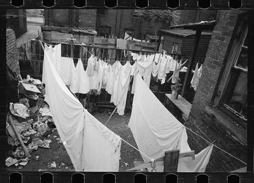 Untitled photo, possibly related to: The Capitol can be seen in the background of this backyard slum scene, Washington, D.C.