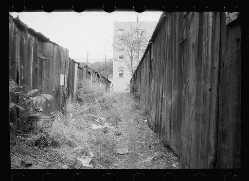 Alleyway privies and wood sheds, Washington, D.C.