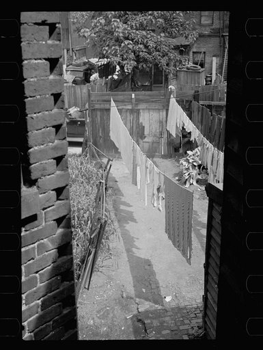 Untitled photo, possibly related to: Slum backyard, Washington, D.C.