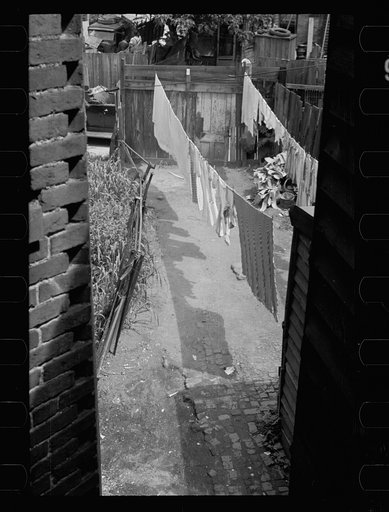 Untitled photo, possibly related to: Slum backyard, Washington, D.C.