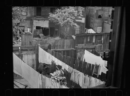 Slum backyard, Washington, D.C.