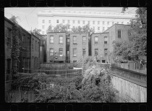 Slum area near House office building, Washington, D.C. Many of these houses have outside toilets