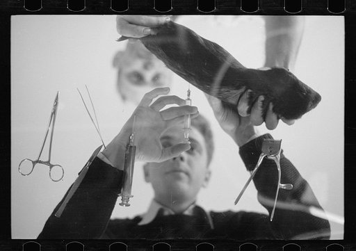 Untitled photo, possibly related to: Inoculation of guinea pig. Experimental farm of Department of Agriculture, Prince George's County, Maryland