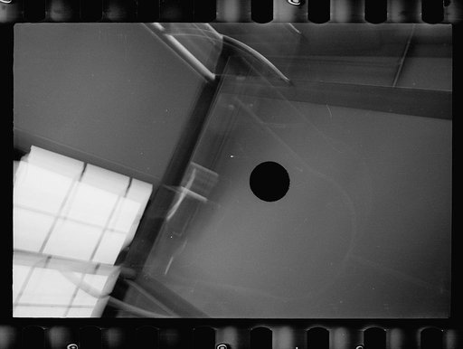 Untitled photo, possibly related to: Inoculation of guinea pig. Experimental farm of Department of Agriculture, Prince George's County, Maryland