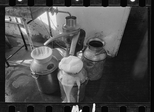 Untitled photo, possibly related to: Milk separator, Prince George's County, Maryland