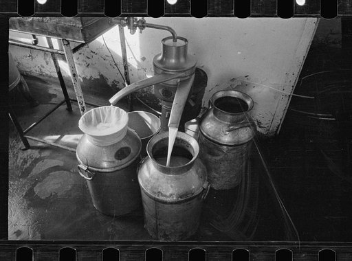 Untitled photo, possibly related to: Milk separator, Prince George's County, Maryland